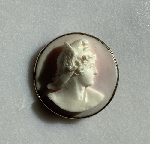 Victorian shell cameo - victorian,