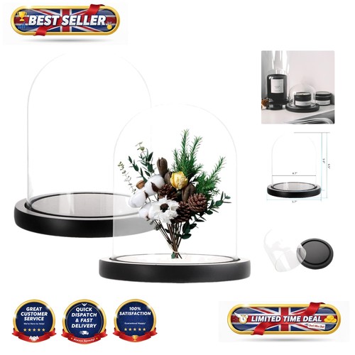 Stylish glass cloche set with - stylish,