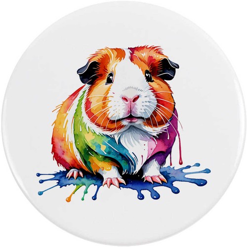 Colourful guinea pig - 'colourful,