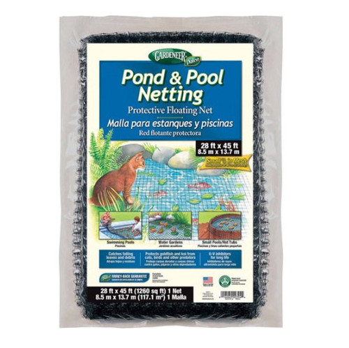 POND
