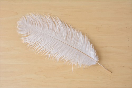 Fluffy ostrich feather - fluffy,