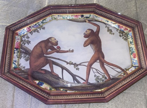 Vtg apes monkeys apple durwin - apes,