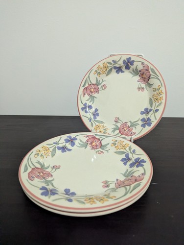 Staffordshire tableware - 3,