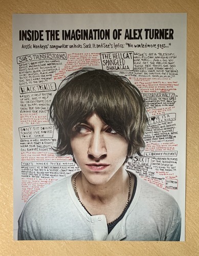 Arctic monkeys alex turner - arctic,