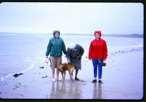 35mm slide transparency old - slide,