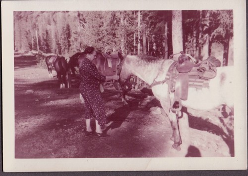 Vintage photograph 1956 - vintage,