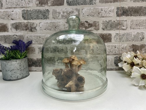Large 24cm glass cloche bell - glass,