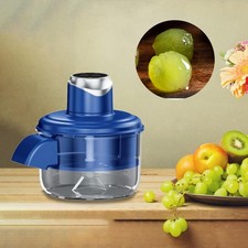 Automatic Fruit Peeler
