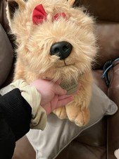 Sasha Dog Soft Toy - Keel Toy