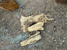 3 Small Pieces of Box Wood / Craft Projects / Turning Projects