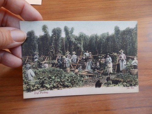 Postcard hop picking - postcard,
