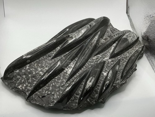 1x18 2cm multiple - 26.1x18.2cm,