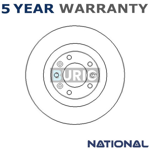 Burig rear brake disc - rear,