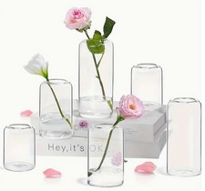 6/12pcs Glass Bud Vase Set