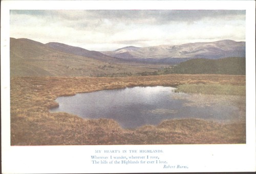 Cairngorms scotland medici - scotland,
