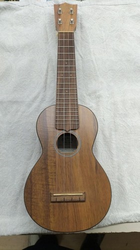 Martin ukulele mexico eco - martin,