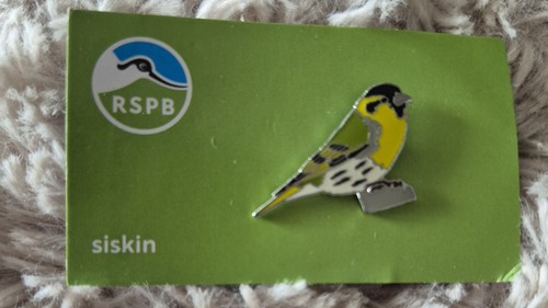 Rspb bird pin badge siskin - bird,