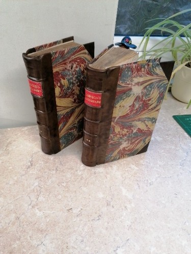 Rare dictionary of - -,