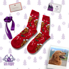 GOLDEN RETRIEVER CHRISTMAS