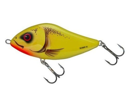 Salmo slider sinking - sinking,