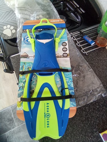Flippers snorkelling - flippers,