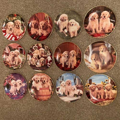 Royal doulton collector - royal,