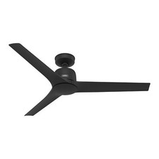 Hunter Ceiling fan with Remote