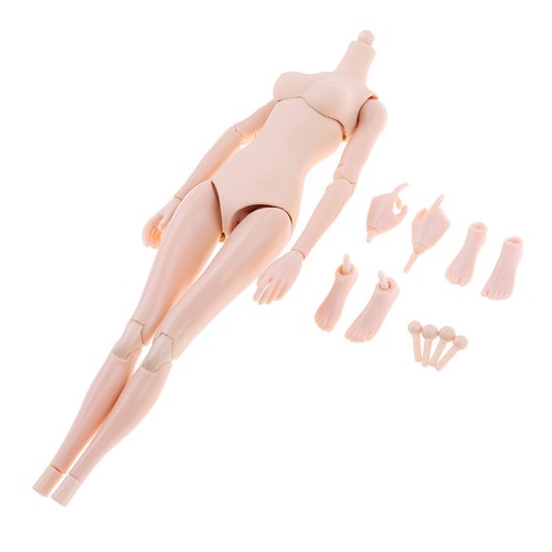 Female nude body - 1:6,