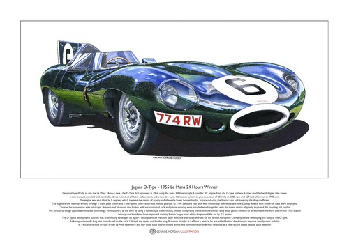 Jaguar type 1955 mans - d-type,