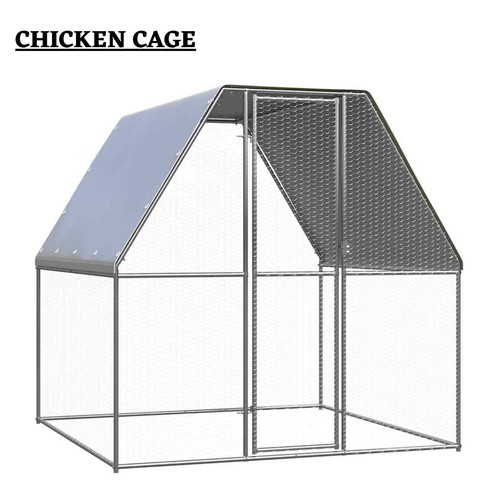 Chicken cage farm - chicken,