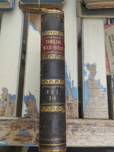 Vintage familiar wild - vintage,