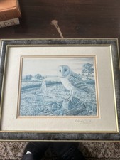 Hand Signed Mark Chester Owl Print In Frame