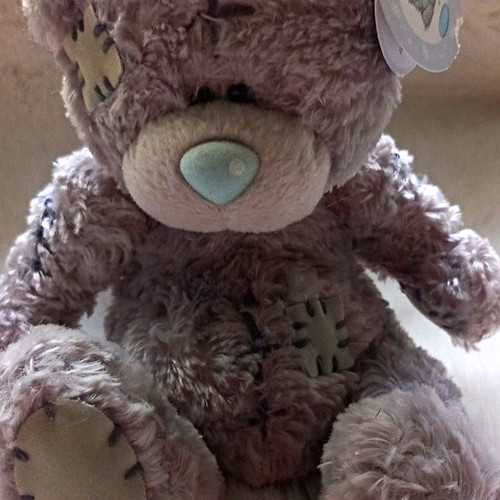 You tatty teddy grey - you,