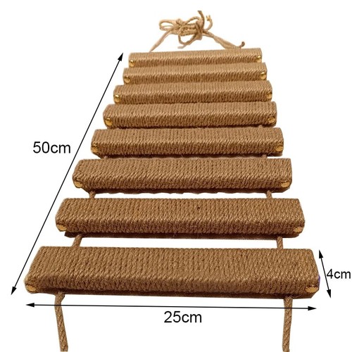 Cat climbing ladder - climbing, bridge