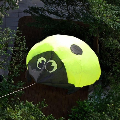 Kite large ladybird can - 3d,