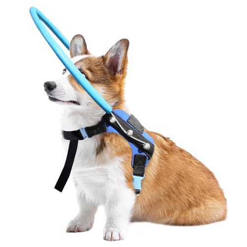 Letpetrun dog halo harness - letpetrun,