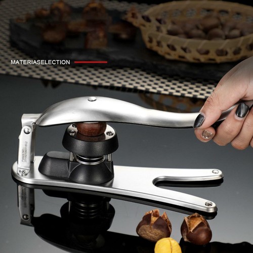 Chestnut open clip - clip,