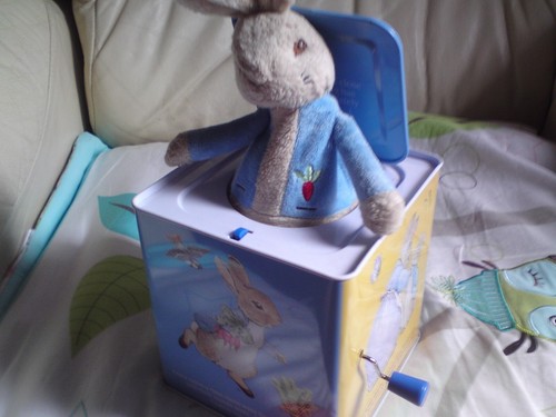 Peter rabbit jack - rabbit, the