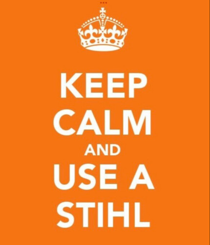 Stihl 600 backpack - backpack, leaf