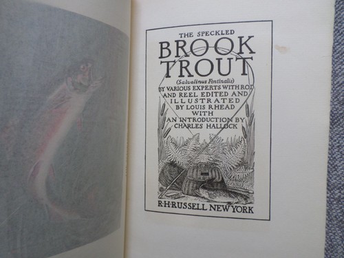 The speckled brook trout - speckled,