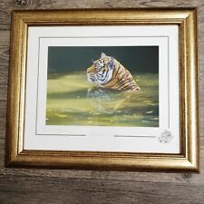 Stephen Gayford Tiger "Staying Cool" Print Signed Limited Edition Framed 100/300