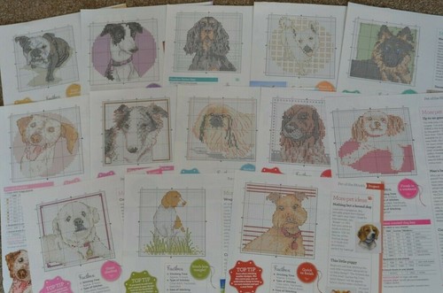Pet the month selection - of,