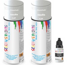 Direct Gloss Aerosol Paint
