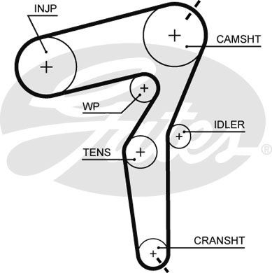 Gates timing belt - timing, belt/water