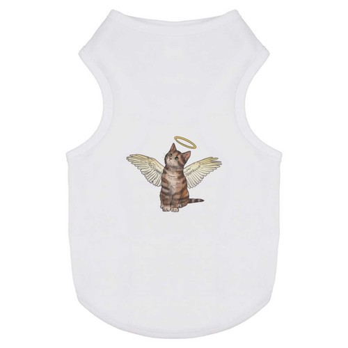 Angel kitten pet dog - pet,