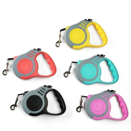 Retractable dog lead - dog,