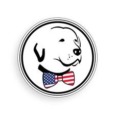 American Labrador Dog USA