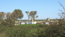 Photo 6x4 Poultry Rearing