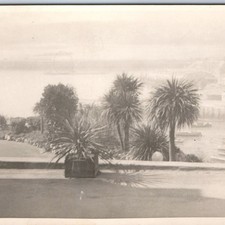 c1920s Torquay UK England RPPC