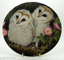 Barn Owl Chicks ~ The Baby